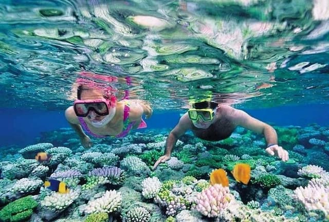 Lặn ngắm san hô ở Sơn Trà: Trải nghiệm độc đáo cùng thiên đường biển Đà Nẵng