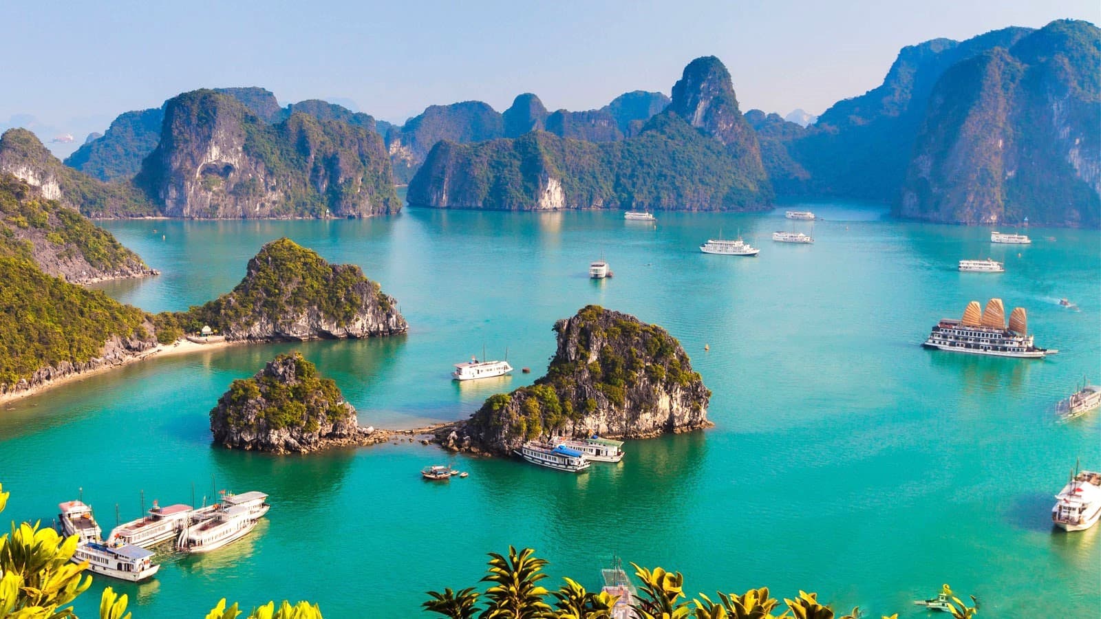 Du lịch Hạ Long tháng 8 có gì hấp dẫn đến vậy?