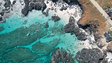 Du lịch Lý Sơn 3 ngày 2 đêm: Hành trình khám phá “đảo thiên đường” từ A đến Z