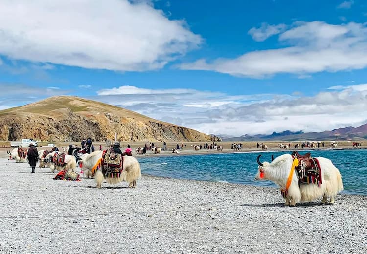 Tour Trung Quốc: Bắc Kinh - Tây Tạng - Đường Sắt Thanh Tạng - L'Hasa - Yamdrok - Shigatse 8 ngày 7 đêm từ Hà Nội