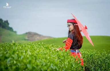 Theo báo ANTV: Kỳ nghỉ lễ 30/4 - 1/5 vừa qua Hà Nội, Đà Nẵng, Mộc Châu đồng loạt hút khách