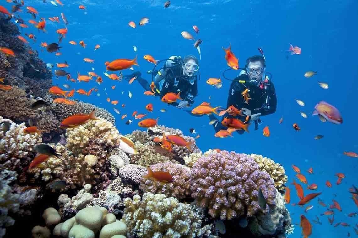 Gợi ý các Tour 4 đảo Nha Trang cho bạn đi trong ngày