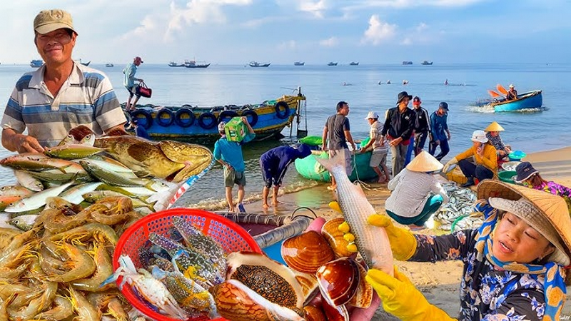 Khám Phá Chợ Cá Nha Trang – Nét Đặc Trưng Sôi Động Của Thành Phố Biển