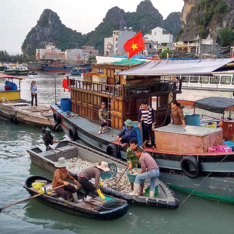 Khám phá chợ Quan Lạn - Nét văn hóa đặc sắc của biển đảo Quảng Ninh