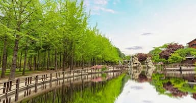 Du lịch Hàn Quốc mùa hè - khám phá "xứ sở kim chi" xanh