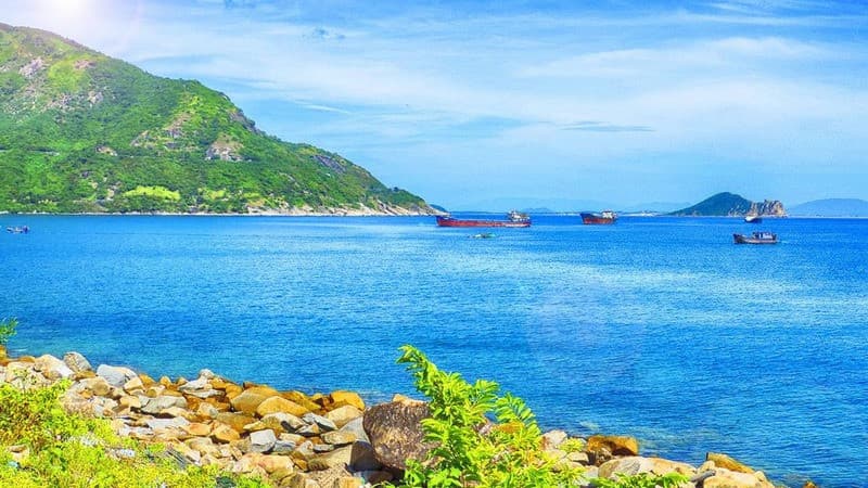 Vũng Rô Phú Yên đẹp đến mức nào? Cẩm nang khám phá từ A đến Z