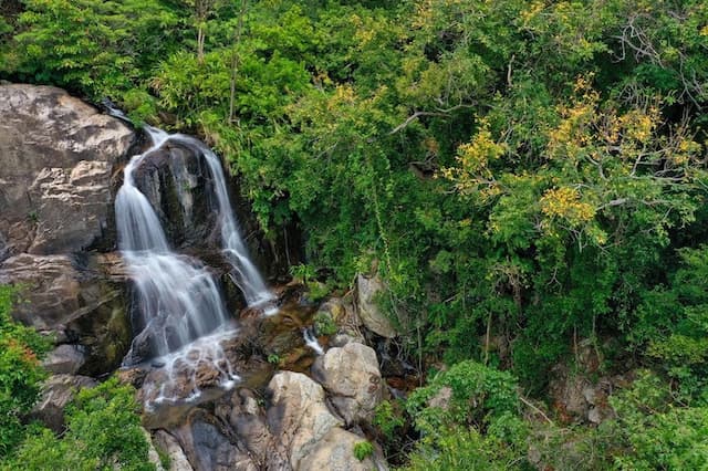 Núi Chùa Vĩnh Hy - Điểm đến hấp dẫn giữa thiên nhiên hoang sơ Ninh Thuận