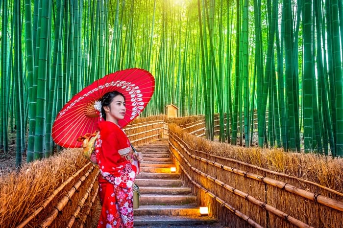 Mùa hè Nhật Bản - Đắm chìm trong sắc hoa rực rỡ và lễ hội màu sắc
