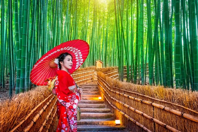 Mùa hè Nhật Bản - Đắm chìm trong sắc hoa rực rỡ và lễ hội màu sắc