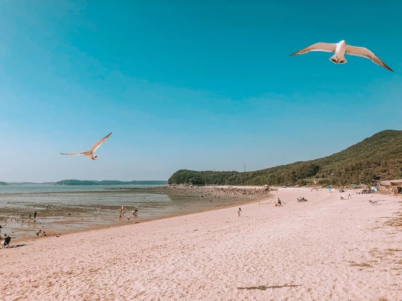 Incheon có gì chơi? Top 10+ điểm đến hấp dẫn khi đi du lịch Incheon