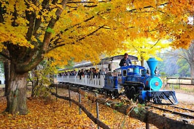 Du lịch đảo Nami: Hành trình khám phá bức tranh 4 mùa đầy mê hoặc