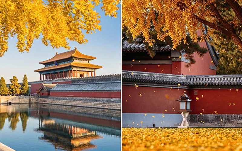 Tour Trung Quốc mùa thu vàng 2025: Bắc Kinh - Vạn Lý Trường Thành - Tử Cấm Thành 5 ngày 4 đêm từ Hà Nội
