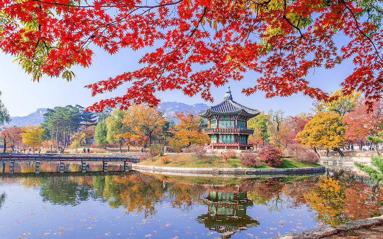 Tour Hàn Quốc mùa thu vàng 2025: Seoul - Nami - Everland - Hanok Bukchon 5 ngày 4 đêm từ Hà Nội
