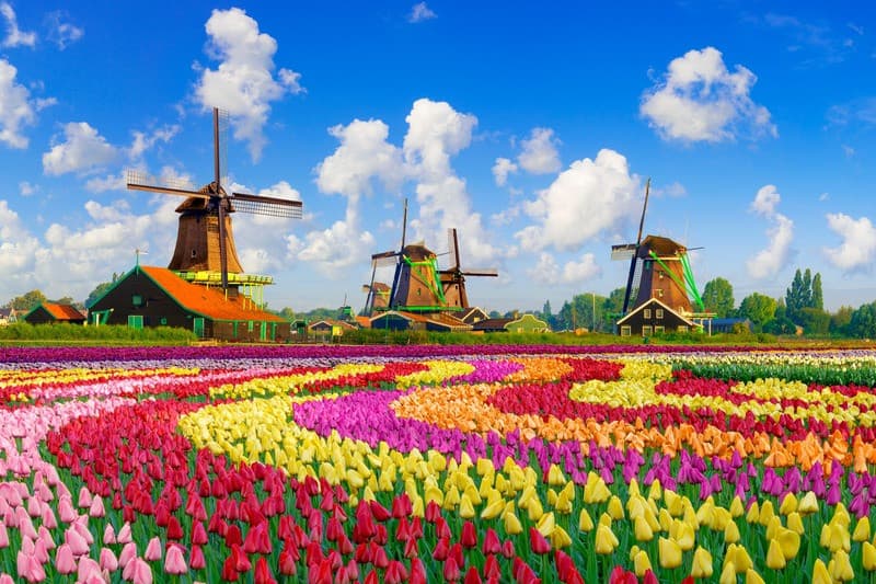 Du lịch Hà Lan tháng nào đẹp nhất? Gợi ý thời điểm lý tưởng cho từng trải nghiệm