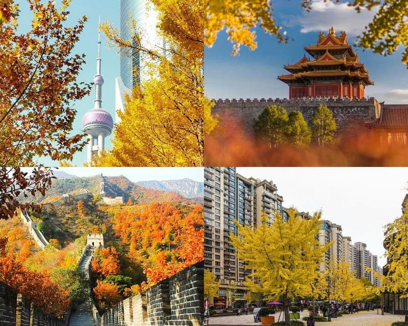 Tour Trung Quốc mùa thu 2025: Thượng Hải - Ô Trấn - Hàng Châu - Tô Châu - Bắc Kinh 7 ngày 7 đêm từ TP.HCM