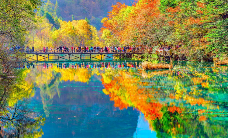 Tour Trung Quốc mùa thu vàng 2025: Thành Đô - Cửu Trại Câu - Nga Mi - Lạc Sơn - Trùng Khánh 7 ngày 7 đêm từ TP.HCM