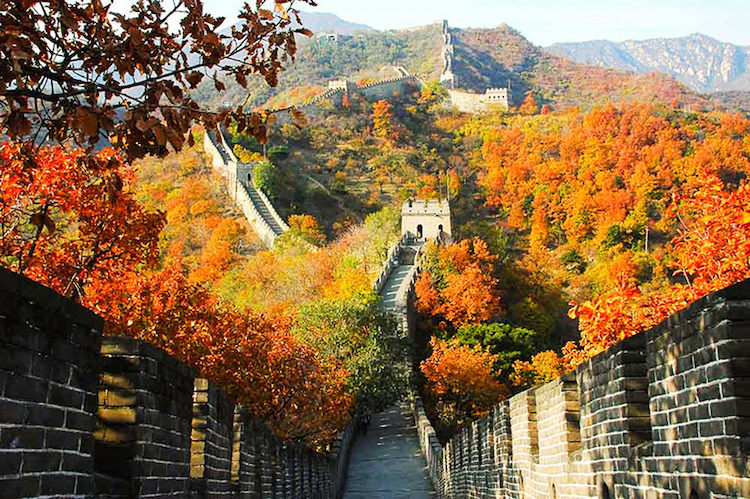 Tour Trung Quốc mùa thu 2026: Bắc Kinh - Hàng Châu - Ô Trấn - Thượng Hải 7 ngày 6 đêm từ TP.HCM (No Shopping)
