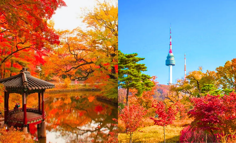 Tour Hàn Quốc mùa thu 2025: Seoul - Nami - Everland 5 ngày 5 đêm từ TP.HCM