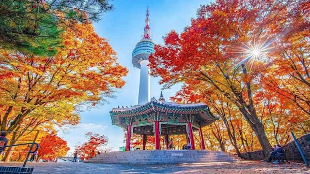 Kinh nghiệm tiết kiệm chi phí đi du lịch Hàn Quốc tự túc