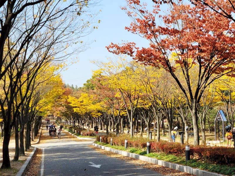 Công viên Incheon - Trải nghiệm những “ốc đảo xanh” ngay giữa lòng Incheon