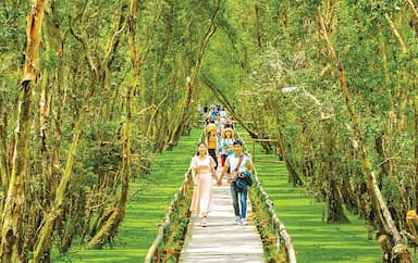 Mùa hè nên đi du lịch ở đâu miền Nam? 12 gợi ý hấp dẫn cho chuyến đi đáng nhớ