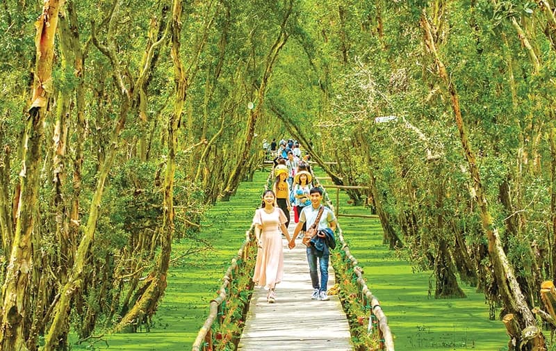 Mùa hè nên đi du lịch ở đâu miền Nam? 12 gợi ý hấp dẫn cho chuyến đi đáng nhớ