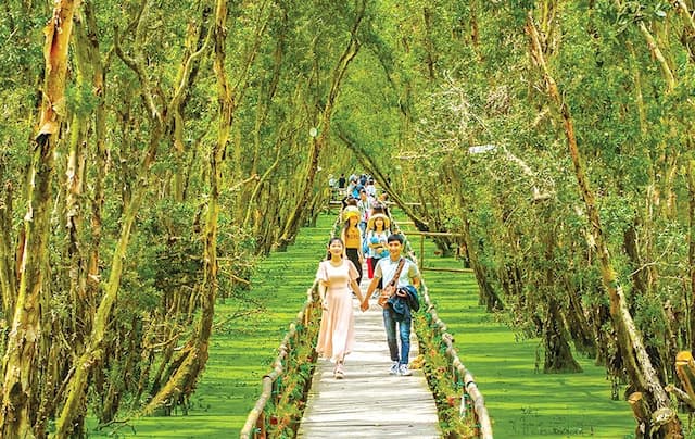 Mùa hè nên đi du lịch ở đâu miền Nam? 12 gợi ý hấp dẫn cho chuyến đi đáng nhớ