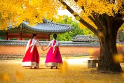 Du lịch Hàn Quốc lễ 2/9: Trải nghiệm kỳ nghỉ đáng nhớ tại xứ sở kim chi
