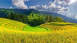 Du lịch Tây Bắc mùa thu: Săn mùa vàng, ôm trọn núi đồi rực rỡ trong tầm mắt