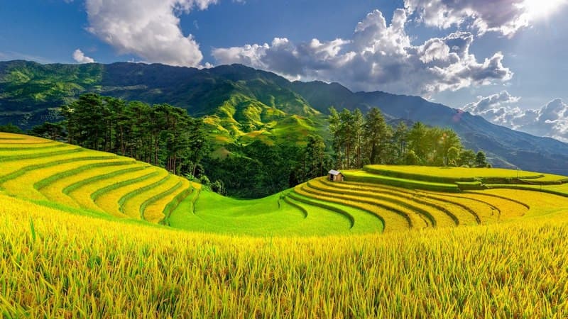 Du lịch Tây Bắc mùa thu: Săn mùa vàng, ôm trọn núi đồi rực rỡ trong tầm mắt