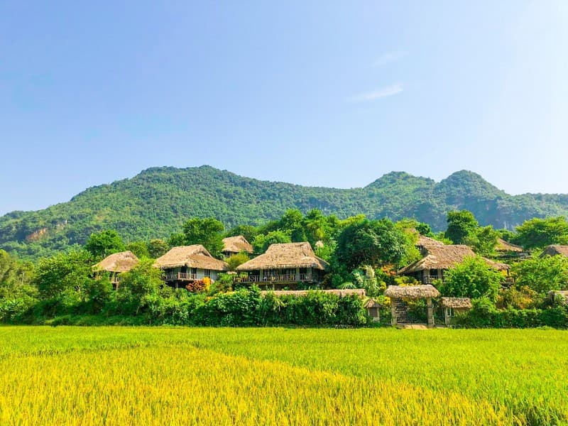 Bản Lác Mai Châu có gì mà khiến dân mê du lịch "phát cuồng"?
