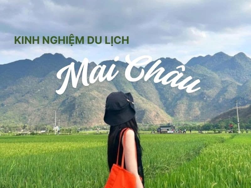 Kinh nghiệm du lịch Mai Châu từ A-Z: Đi lại, chi phí, ăn ở, tham quan