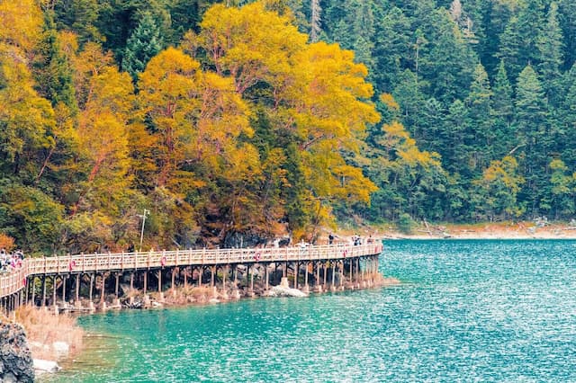 Tour Trung Quốc mùa thu vàng 2025: Thành Đô - Cửu Trại Câu - Lạc Sơn 6 ngày 5 đêm từ Hà Nội