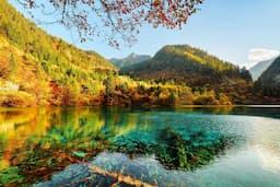 Tour Cửu Trại Câu - Thành Đô - Cổ Trấn Lạc Đới - Lạc Sơn 6 ngày 5 đêm từ Hà Nội