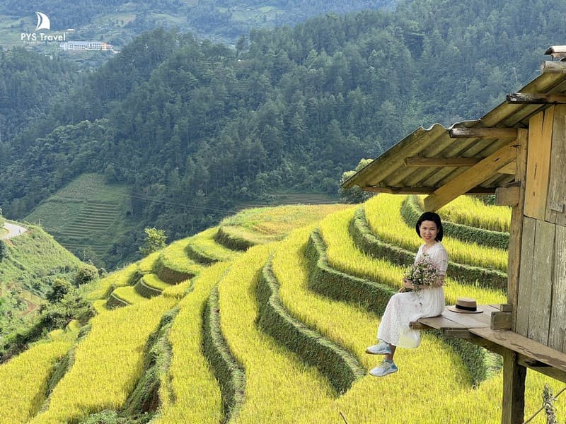 Mù Cang Chải có gì? Top 10+ điểm đến đẹp nhất không thể bỏ lỡ
