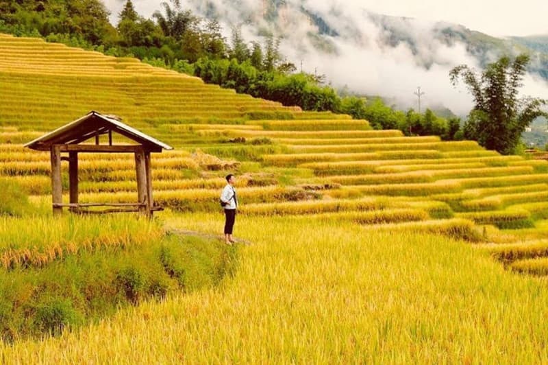 Du lịch Y Tý mùa nào đẹp? Mãn nhãn với cảnh đẹp bốn mùa rực rỡ