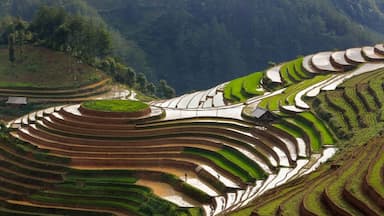 Khám phá vẻ đẹp Mù Cang Chải mùa nước đổ