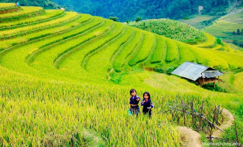 Các dân tộc sinh sống ở Mù Cang Chải - Sắc màu Tây Bắc hội tụ
