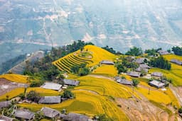 Ghé thăm mùa lúa vàng Hoàng Su Phì tháng 10