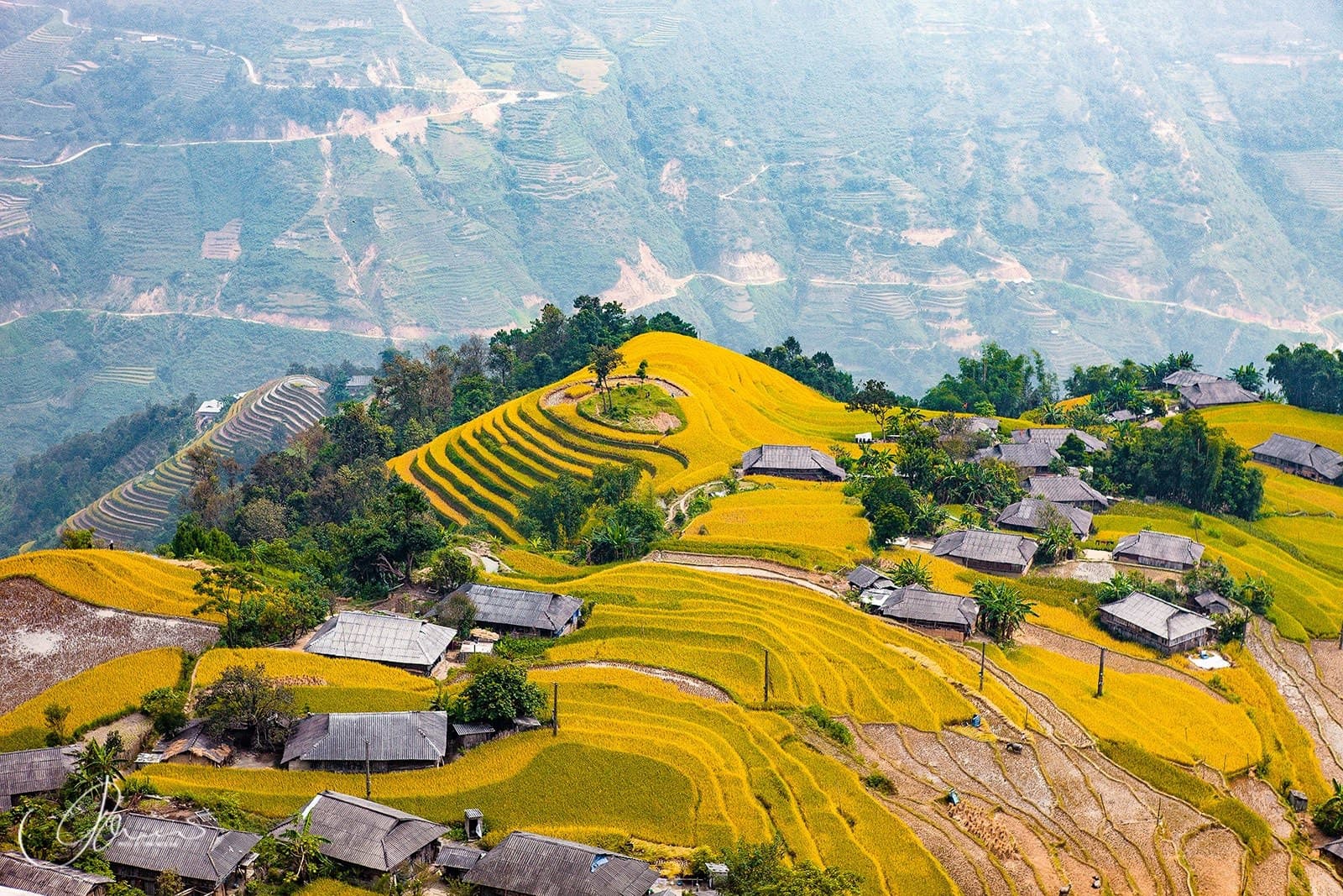 Ghé thăm mùa lúa vàng Hoàng Su Phì tháng 10