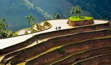 Mùa nước đổ Hoàng Su Phì: Thời điểm đẹp nhất & Trải nghiệm không thể bỏ lỡ