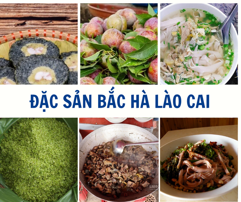 Khám phá đặc sản Bắc Hà: Top món ngon đặc trưng vùng cao nhất định phải thử