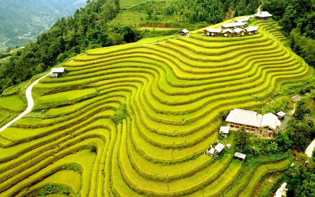 Khám phá Thông Nguyên Hoàng Su Phì Hà Giang - Viên ngọc giữa núi rừng Đông Bắc