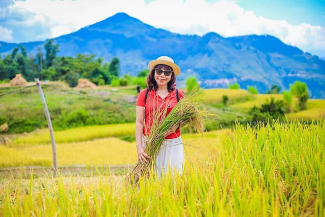 Bản Luốc Hoàng Su Phì - Viên ngọc hiếm với vẻ đẹp nao lòng