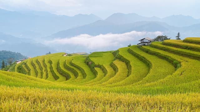 Du lịch Hà Giang tháng 9 - Mùa không hoa nhưng vẫn đẹp "ngỡ ngàng" đáng thử 2026