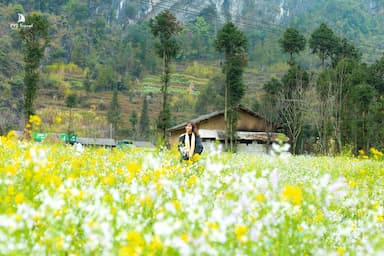 Du lịch miền Bắc tháng 12: Hành trình khám phá những địa điểm lý thú