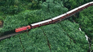 Trải nghiệm Tour xuyên Việt từ TP.HCM bằng tàu hỏa cao cấp 5 sao đầu tiền tại Việt Nam