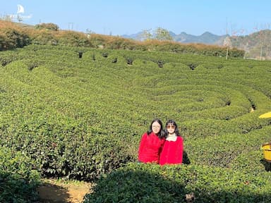 Mộc Châu tháng 3 - Đắm chìm trong sắc hoa và những lễ hội