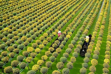 Du lịch Miền Tây tháng 1 và những trải nghiệm không thể bỏ qua