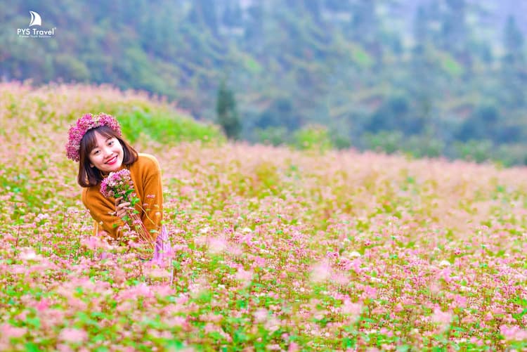 Tour Hà Giang 4 ngày 4 đêm từ TP.HCM - Khách sạn 4 sao - Mùa hoa Tam Giác Mạch